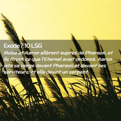 Picture 02 - Exode 7:10 LSG - Moïse et Aaron allèrent auprès de Pharaon, et - Bible Verse Picture