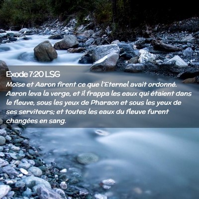 Picture 02 - Exode 7:20 LSG - Moïse et Aaron firent ce que l'Eternel avait - Bible Verse Picture