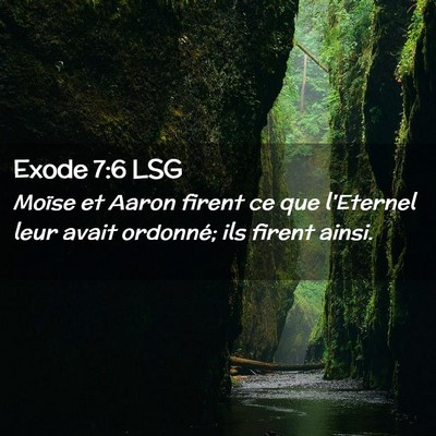 Picture 02 - Exode 7:6 LSG - Moïse et Aaron firent ce que l'Eternel leur - Bible Verse Picture