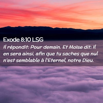 Picture 02 - Exode 8:10 LSG - Il répondit: Pour demain. Et Moïse dit: Il en - Bible Verse Picture