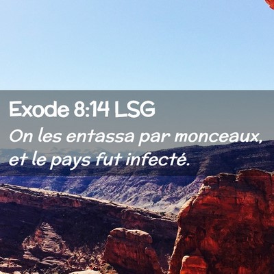 Picture 02 - Exode 8:14 LSG - On les entassa par monceaux, et le pays fut - Bible Verse Picture