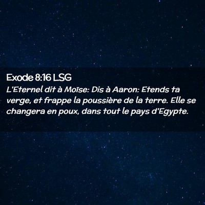 Picture 02 - Exode 8:16 LSG - L'Eternel dit à Moïse: Dis à Aaron: Etends ta - Bible Verse Picture