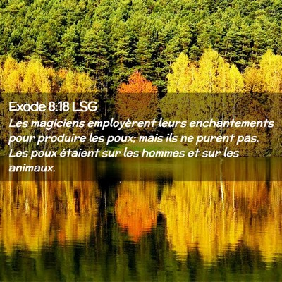 Picture 02 - Exode 8:18 LSG - Les magiciens employèrent leurs enchantements - Bible Verse Picture