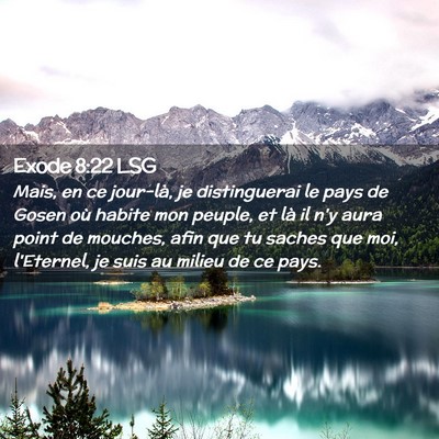 Picture 02 - Exode 8:22 LSG - Mais, en ce jour-là, je distinguerai le pays de - Bible Verse Picture