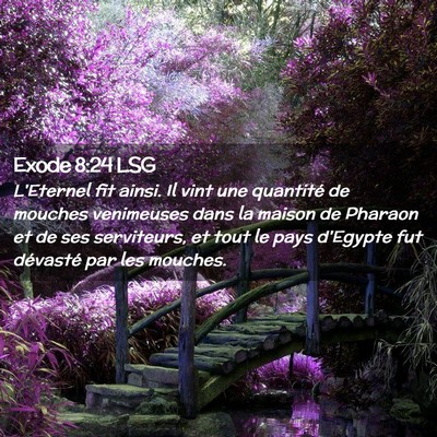 Picture 02 - Exode 8:24 LSG - L'Eternel fit ainsi. Il vint une quantité de - Bible Verse Picture