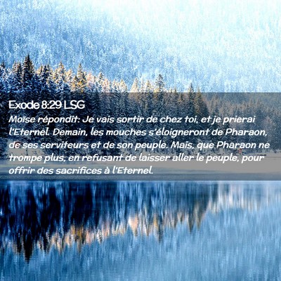 Picture 02 - Exode 8:29 LSG - Moïse répondit: Je vais sortir de chez toi, et - Bible Verse Picture