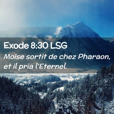 Picture 02 - Exode 8:30 LSG - Moïse sortit de chez Pharaon, et il pria - Bible Verse Picture