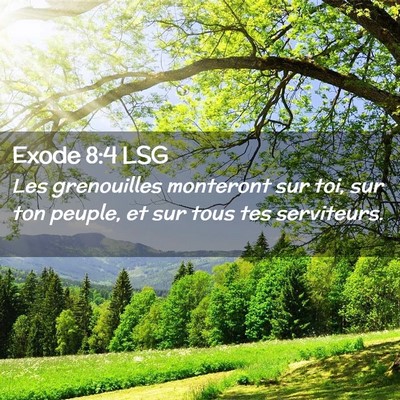 Picture 02 - Exode 8:4 LSG - Les grenouilles monteront sur toi, sur ton - Bible Verse Picture