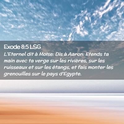 Picture 02 - Exode 8:5 LSG - L'Eternel dit à Moïse: Dis à Aaron: Etends ta - Bible Verse Picture