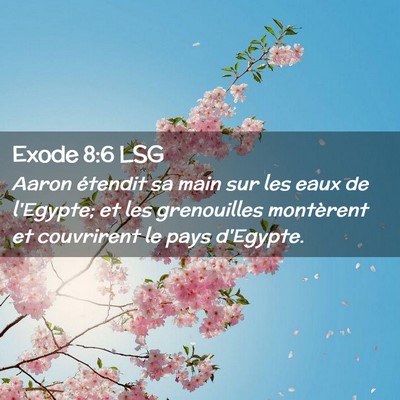 Picture 02 - Exode 8:6 LSG - Aaron étendit sa main sur les eaux de l'Egypte; - Bible Verse Picture