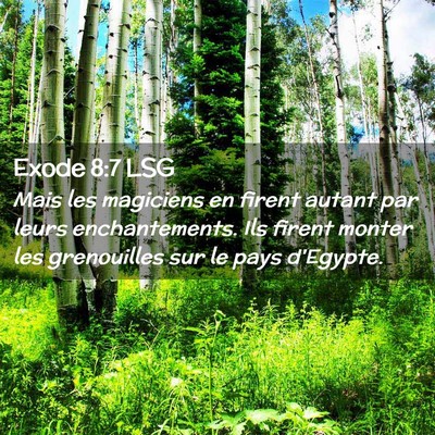 Picture 02 - Exode 8:7 LSG - Mais les magiciens en firent autant par leurs - Bible Verse Picture