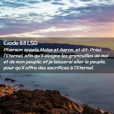 Picture 02 - Exode 8:8 LSG - Pharaon appela Moïse et Aaron, et dit: Priez - Bible Verse Picture