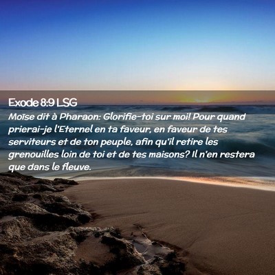Picture 02 - Exode 8:9 LSG - Moïse dit à Pharaon: Glorifie-toi sur moi! Pour - Bible Verse Picture