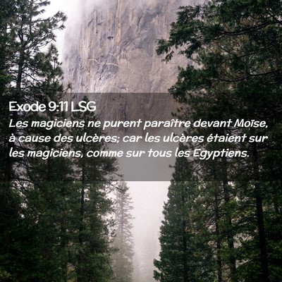 Picture 02 - Exode 9:11 LSG - Les magiciens ne purent paraître devant Moïse, - Bible Verse Picture