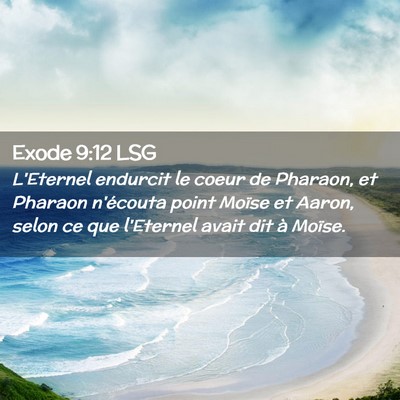 Picture 02 - Exode 9:12 LSG - L'Eternel endurcit le coeur de Pharaon, et - Bible Verse Picture