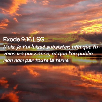 Picture 02 - Exode 9:16 LSG - Mais, je t'ai laissé subsister, afin que tu - Bible Verse Picture