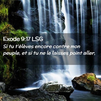 Picture 02 - Exode 9:17 LSG - Si tu t'élèves encore contre mon peuple, et si - Bible Verse Picture