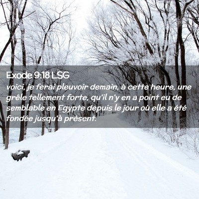 Picture 02 - Exode 9:18 LSG - voici, je ferai pleuvoir demain, à cette heure, - Bible Verse Picture