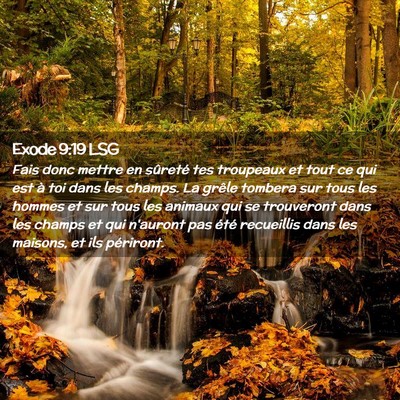 Picture 02 - Exode 9:19 LSG - Fais donc mettre en sûreté tes troupeaux et - Bible Verse Picture