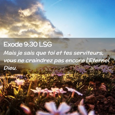 Picture 02 - Exode 9:30 LSG - Mais je sais que toi et tes serviteurs, vous ne - Bible Verse Picture