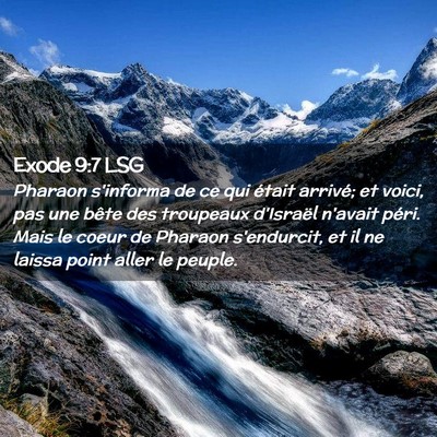 Picture 02 - Exode 9:7 LSG - Pharaon s'informa de ce qui était arrivé; et - Bible Verse Picture