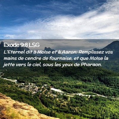 Picture 02 - Exode 9:8 LSG - L'Eternel dit à Moïse et à Aaron: Remplissez - Bible Verse Picture