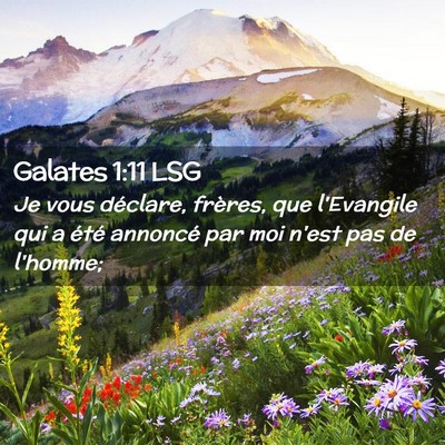 Picture 02 - Galates 1:11 LSG - Je vous déclare, frères, que l'Evangile qui a - Bible Verse Picture