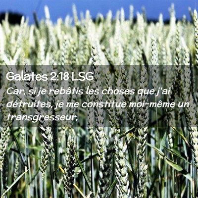 Picture 02 - Galates 2:18 LSG - Car, si je rebâtis les choses que j'ai - Bible Verse Picture