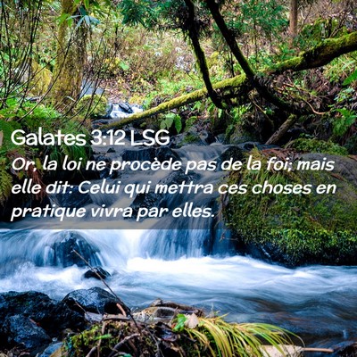Picture 02 - Galates 3:12 LSG - Or, la loi ne procède pas de la foi; mais elle - Bible Verse Picture
