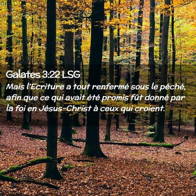 Picture 02 - Galates 3:22 LSG - Mais l'Ecriture a tout renfermé sous le péché, - Bible Verse Picture
