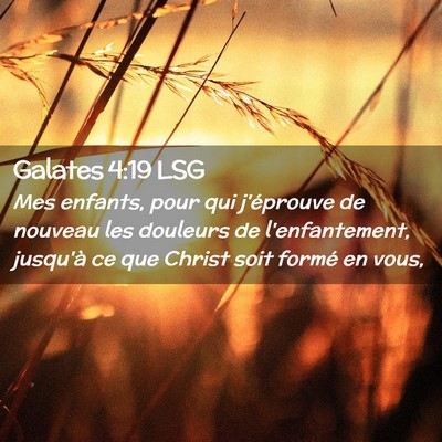 Picture 02 - Galates 4:19 LSG - Mes enfants, pour qui j'éprouve de nouveau les - Bible Verse Picture
