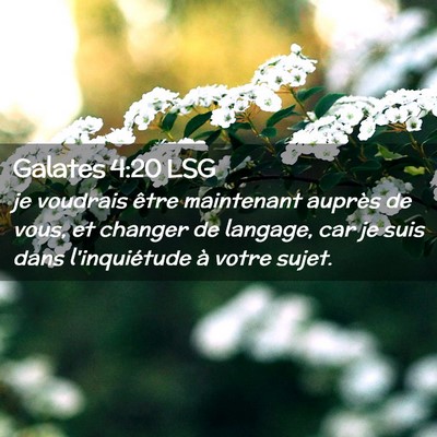 Picture 02 - Galates 4:20 LSG - je voudrais être maintenant auprès de vous, et - Bible Verse Picture