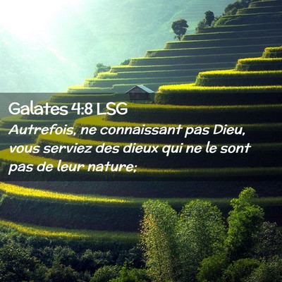 Picture 02 - Galates 4:8 LSG - Autrefois, ne connaissant pas Dieu, vous serviez - Bible Verse Picture