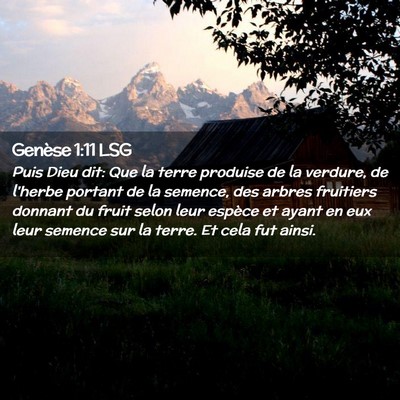 Picture 02 - Genèse 1:11 LSG - Puis Dieu dit: Que la terre produise de la - Bible Verse Picture