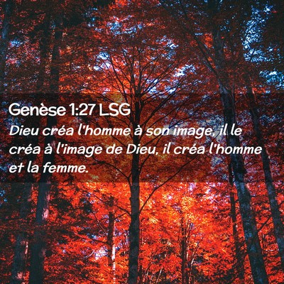 Picture 02 - Genèse 1:27 LSG - Dieu créa l'homme à son image, il le créa à - Bible Verse Picture