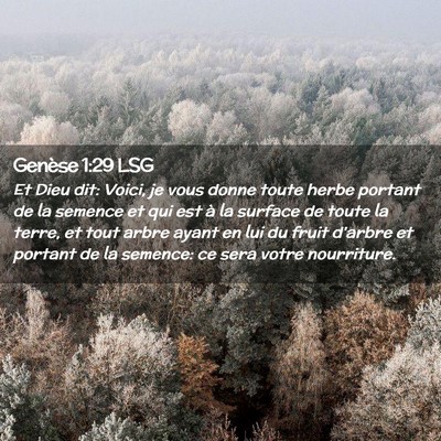 Picture 02 - Genèse 1:29 LSG - Et Dieu dit: Voici, je vous donne toute herbe - Bible Verse Picture