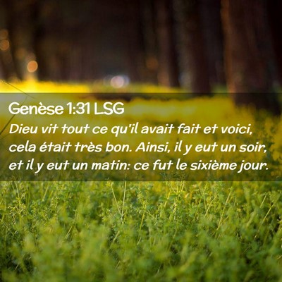 Picture 02 - Genèse 1:31 LSG - Dieu vit tout ce qu'il avait fait et voici, cela - Bible Verse Picture