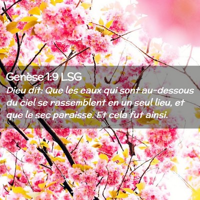 Picture 02 - Genèse 1:9 LSG - Dieu dit: Que les eaux qui sont au-dessous du - Bible Verse Picture