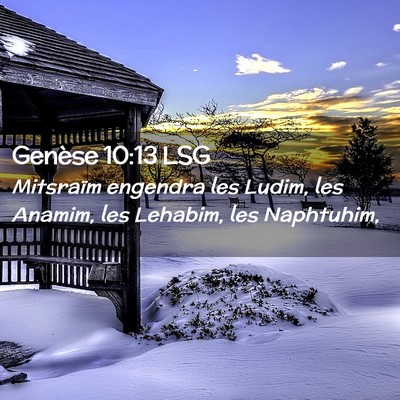 Picture 02 - Genèse 10:13 LSG - Mitsraïm engendra les Ludim, les Anamim, les - Bible Verse Picture