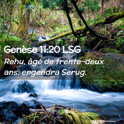 Picture 02 - Genèse 11:20 LSG - Rehu, âgé de trente-deux ans, engendra - Bible Verse Picture