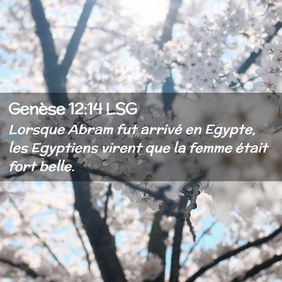 Picture 02 - Genèse 12:14 LSG - Lorsque Abram fut arrivé en Egypte, les - Bible Verse Picture