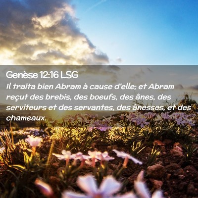 Picture 02 - Genèse 12:16 LSG - Il traita bien Abram à cause d'elle; et Abram - Bible Verse Picture