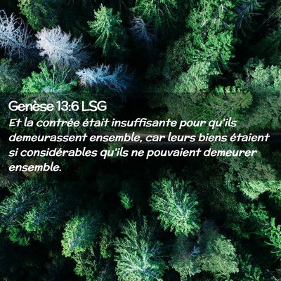 Picture 02 - Genèse 13:6 LSG - Et la contrée était insuffisante pour qu'ils - Bible Verse Picture