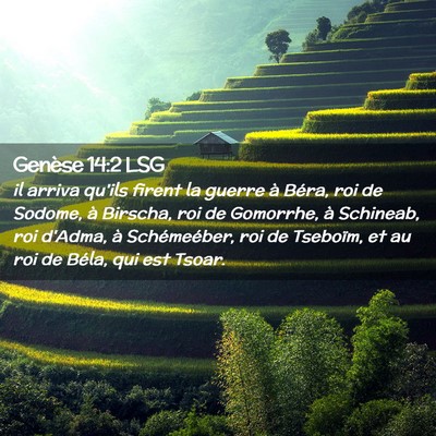 Picture 02 - Genèse 14:2 LSG - il arriva qu'ils firent la guerre à Béra, roi - Bible Verse Picture
