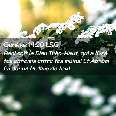 Picture 02 - Genèse 14:20 LSG - Béni soit le Dieu Très-Haut, qui a livré tes - Bible Verse Picture