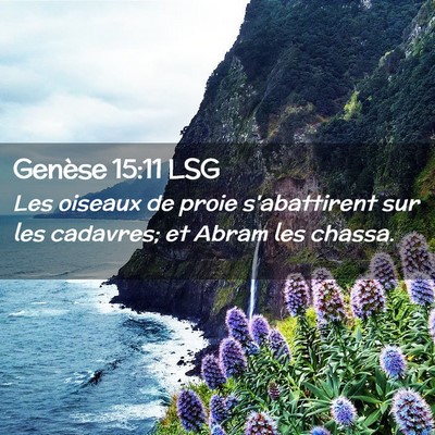 Picture 02 - Genèse 15:11 LSG - Les oiseaux de proie s'abattirent sur les - Bible Verse Picture