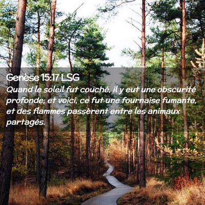 Picture 02 - Genèse 15:17 LSG - Quand le soleil fut couché, il y eut une - Bible Verse Picture