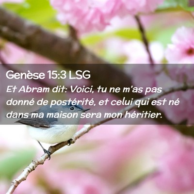 Picture 02 - Genèse 15:3 LSG - Et Abram dit: Voici, tu ne m'as pas donné de - Bible Verse Picture