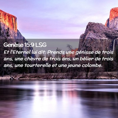 Picture 02 - Genèse 15:9 LSG - Et l'Eternel lui dit: Prends une génisse de - Bible Verse Picture