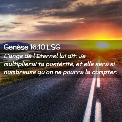 Picture 02 - Genèse 16:10 LSG - L'ange de l'Eternel lui dit: Je multiplierai ta - Bible Verse Picture
